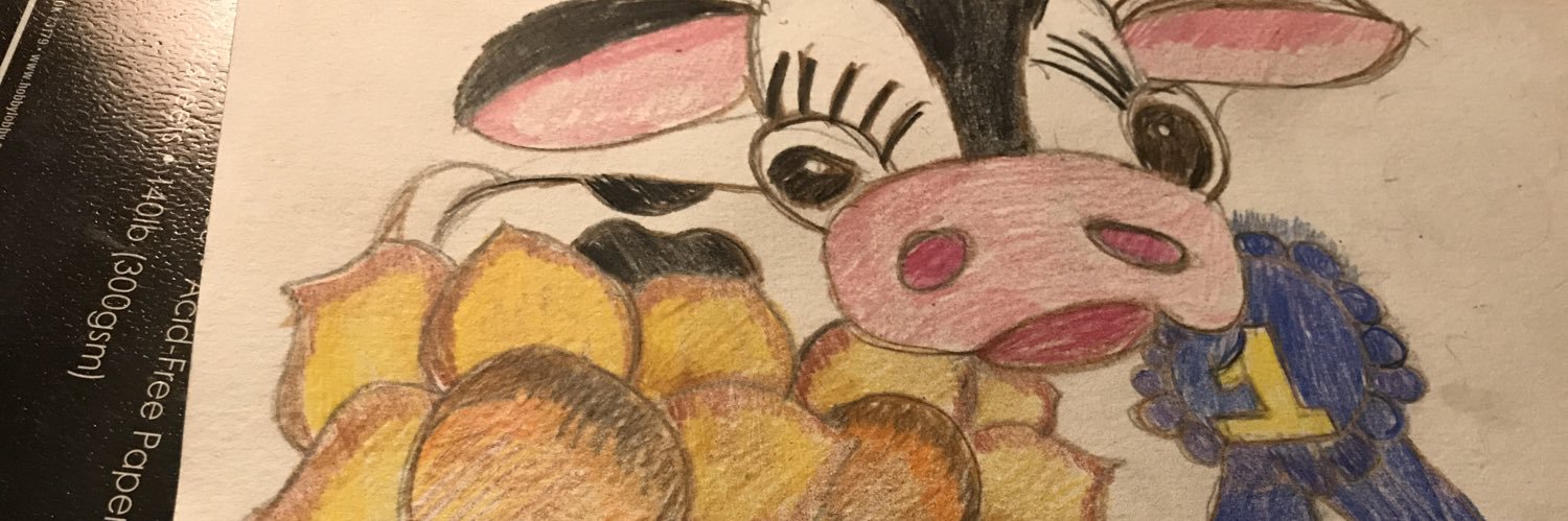 LimesJodi's profile banner image