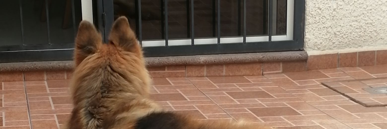 AlexaDuvi's profile banner image