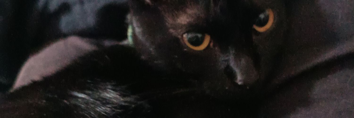 micatrikas's profile banner image