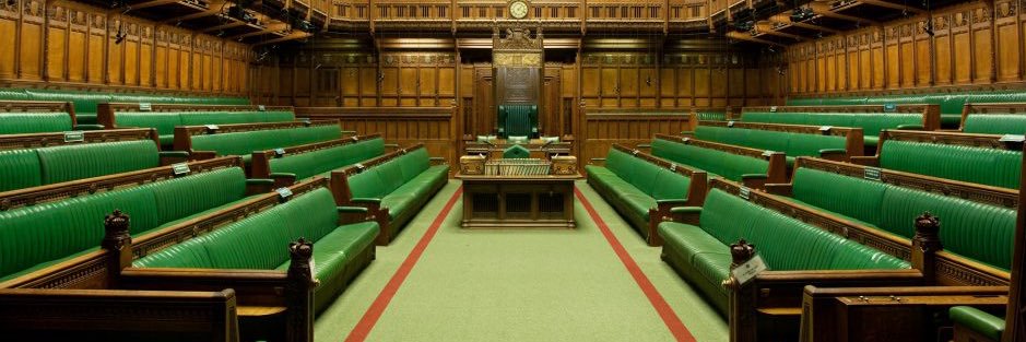 Madam Deputy Common Sense banner