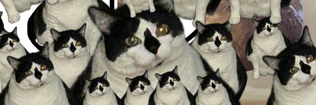 johnninjascott's profile banner image