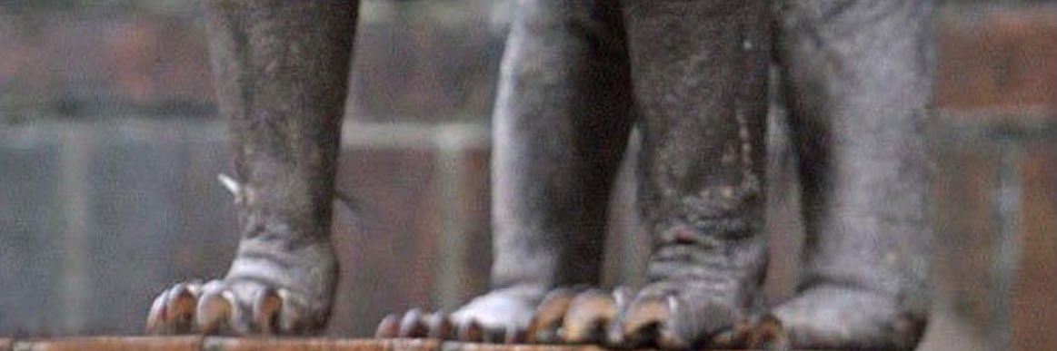 terrence john kosick banner