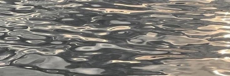 goneblue banner