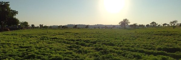 Shankar100dhary Profile Banner