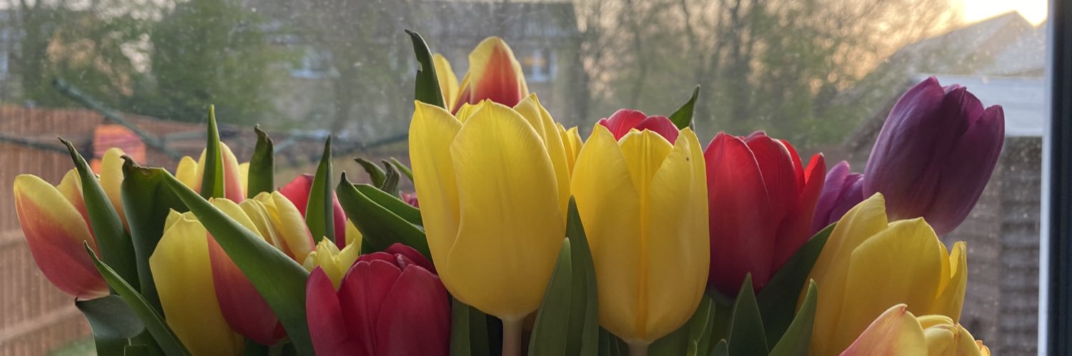 CamSpuggy's profile banner image