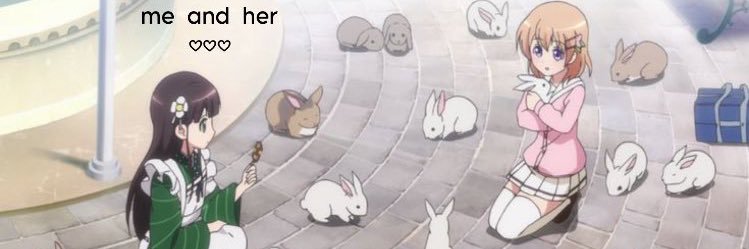 bebıs gıbı banner
