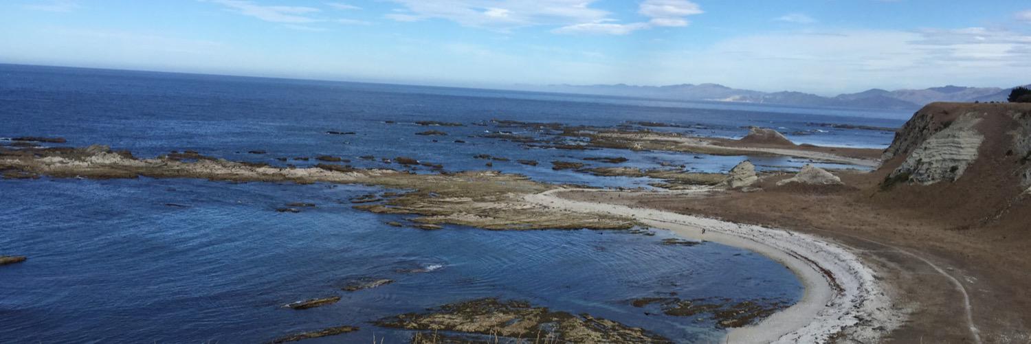 Faaaa_NZ's profile banner image