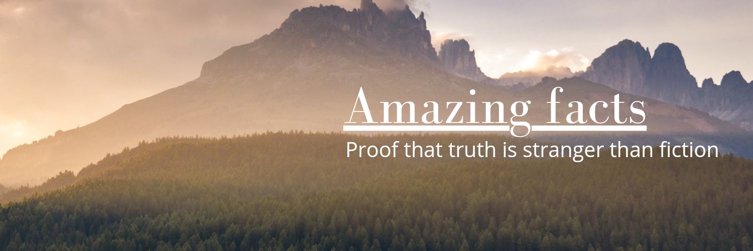 Amazing facts!'s banner