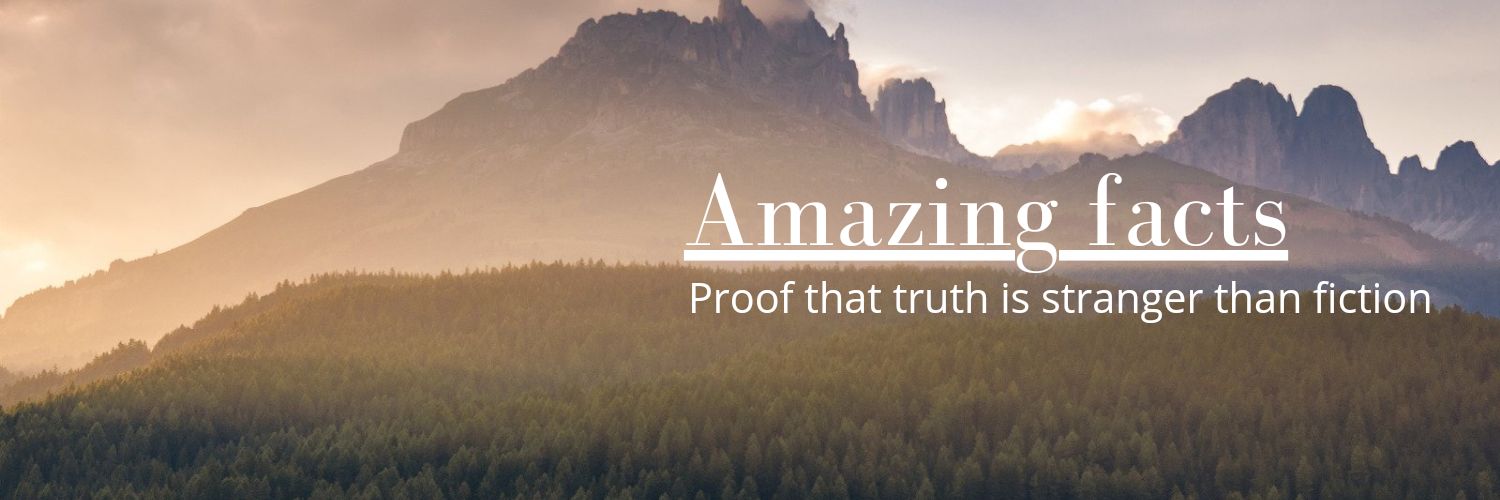 Amazing facts! Profile Banner