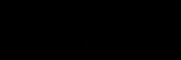 QuaDavis7 Profile Banner