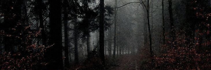 Nagham__6's profile banner image