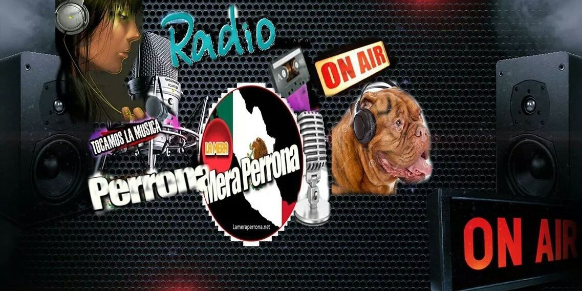 lamerameraperro's profile banner image