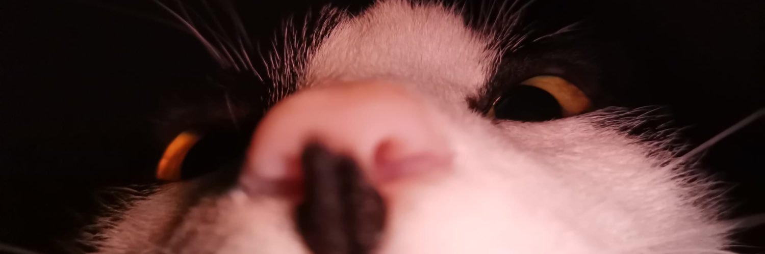 eduisntreal's profile banner image