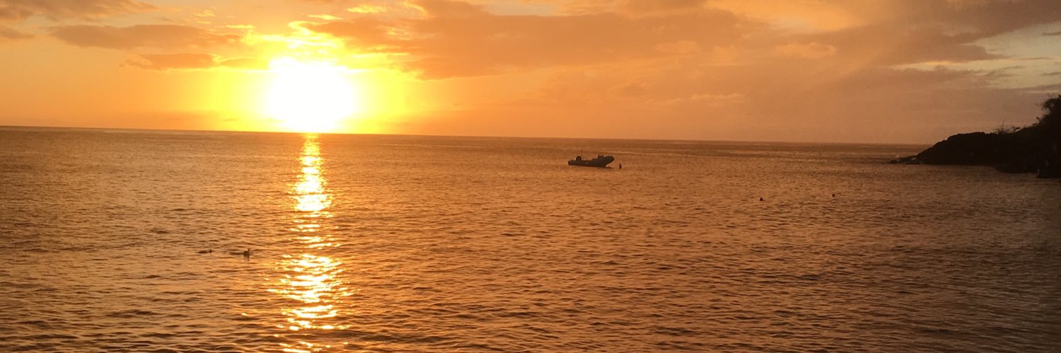 Lentulus Dimitri banner