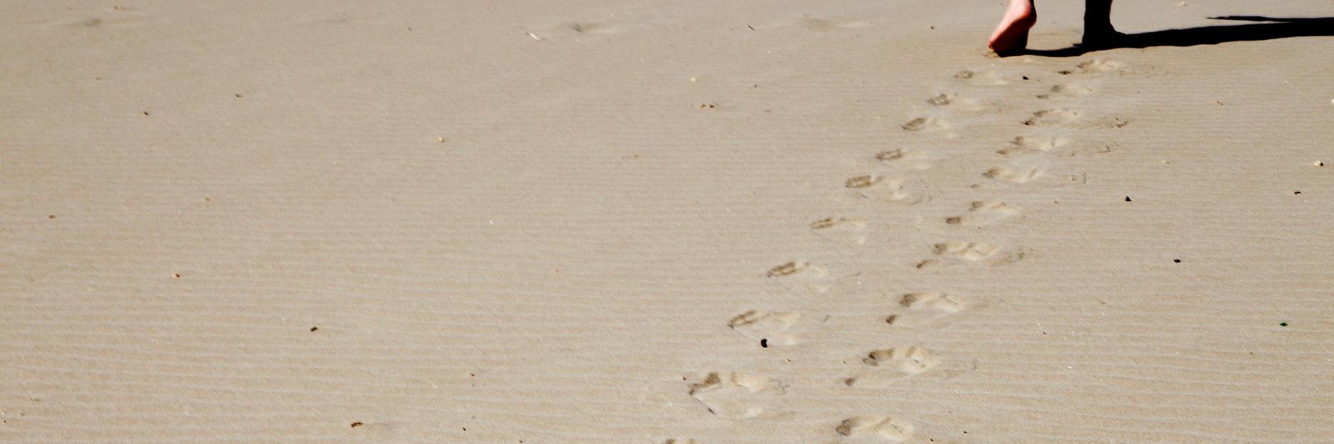 Silvia Martínez Mtez banner