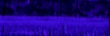 Dany's banner