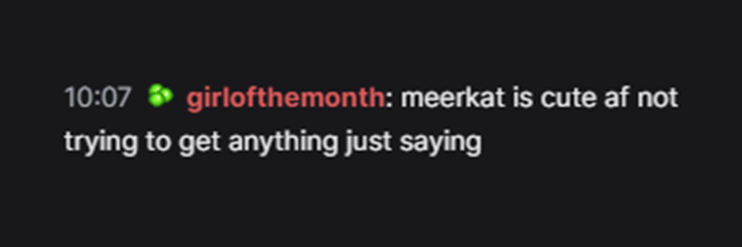 LoadingMeerkat's profile banner image