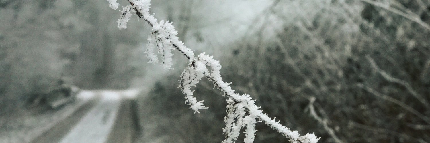 MarkLueb's profile banner image