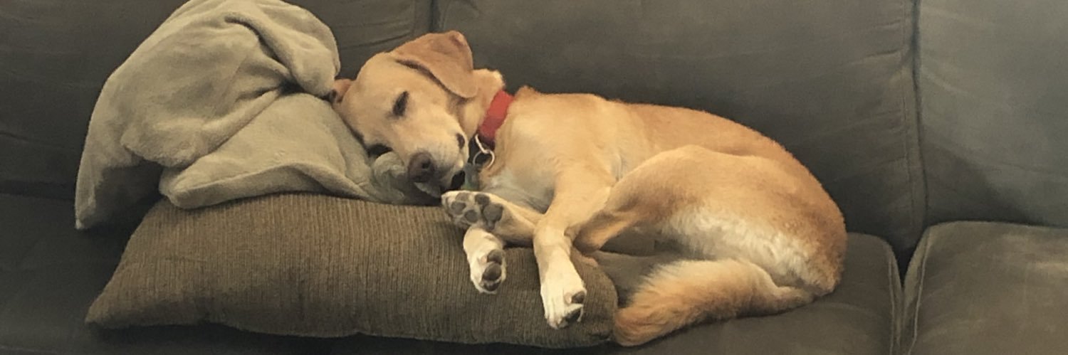 Haileykharper's profile banner image