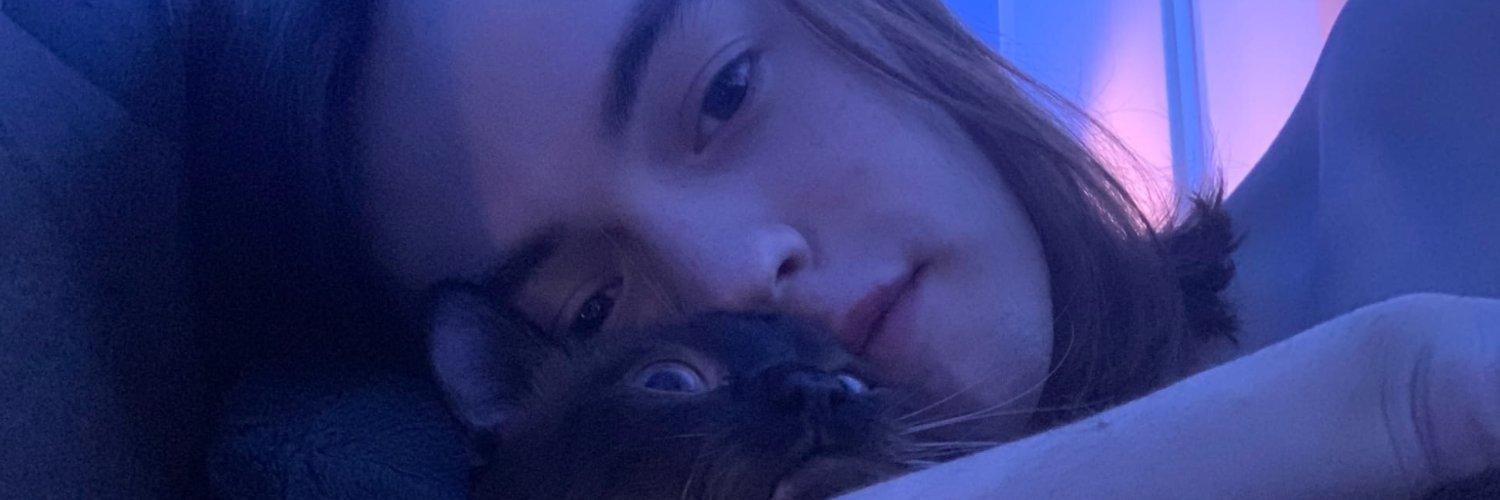 Dilan banner