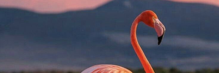 Ludinkk's profile banner image