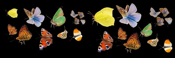 s4r4h_l Profile Banner