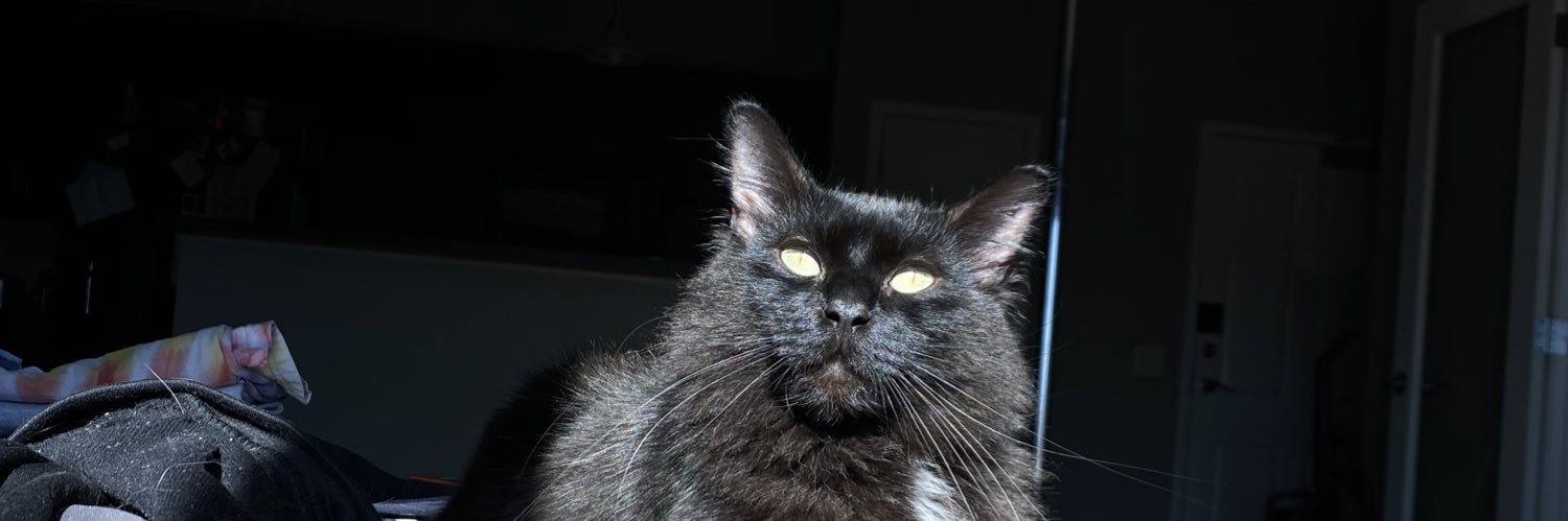 lou_butt's profile banner image