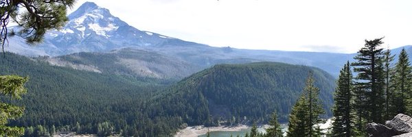 ShnayderSharona Profile Banner