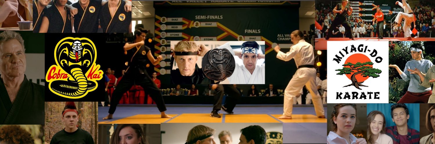 Cobra Kai Kid's banner