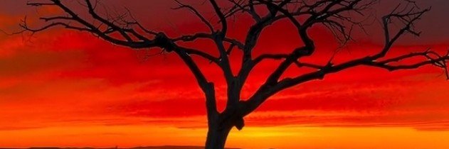 da22ni's profile banner image