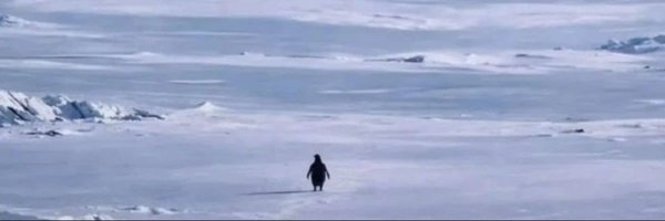 AustinHouk12 Profile Banner