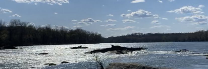 scorpion priestess 🦂 banner