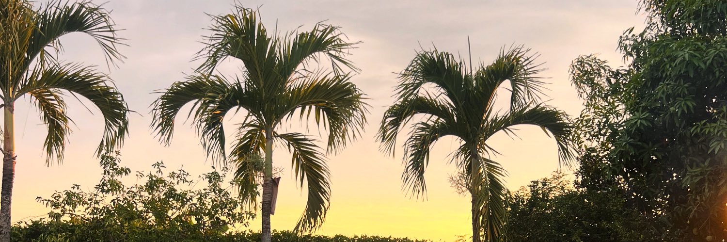NicoTrujo's profile banner image