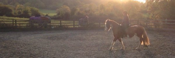 RebeccaR_S Profile Banner
