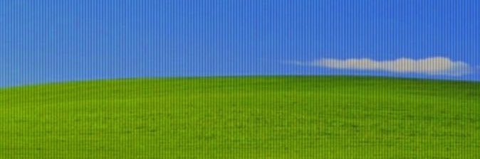 ɟǝɟǝ.fefe banner