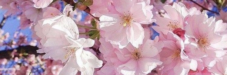 monicav_97's profile banner image