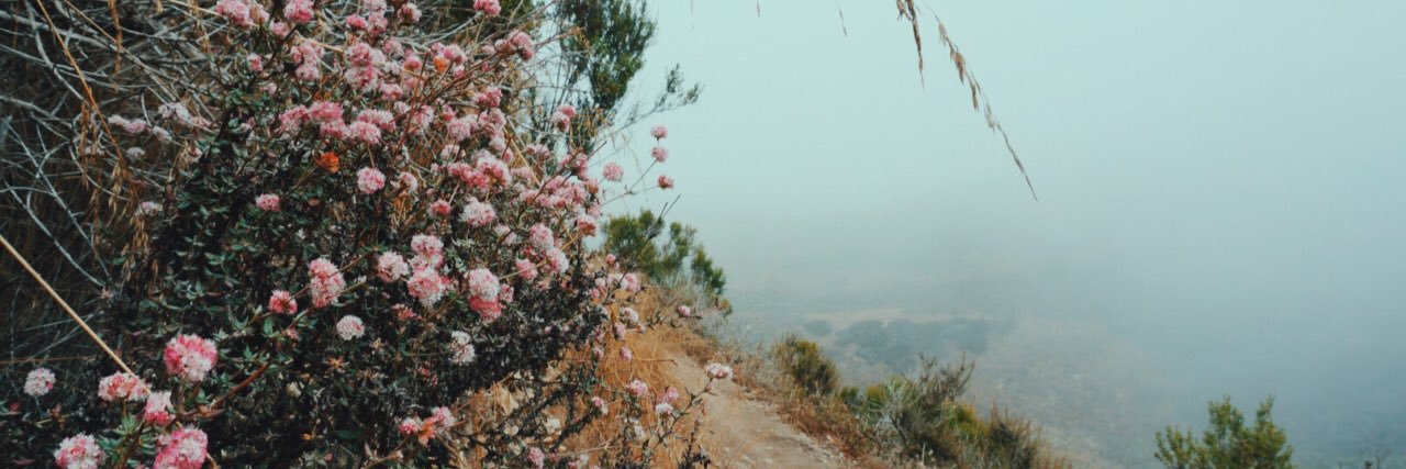 Ashtree1165's profile banner image