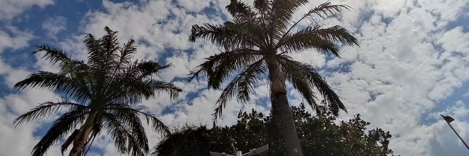eezox's profile banner image