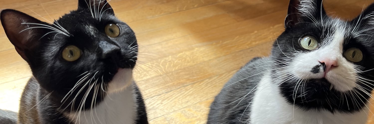 AlayniacRachel's profile banner image