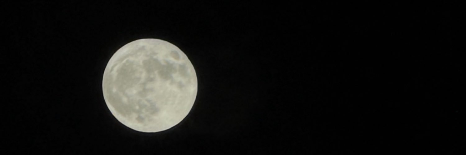 HalaAlz's profile banner image