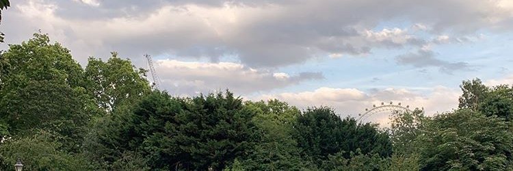 Jillian. banner