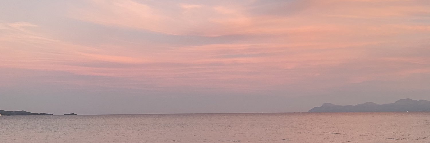 BallesterElisa's profile banner image