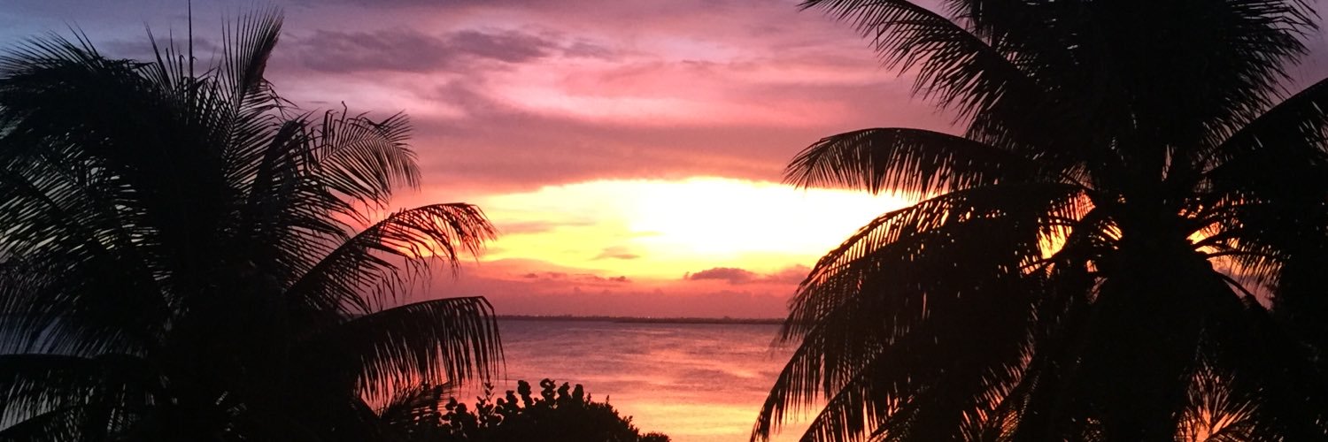 allisonlarra's profile banner image