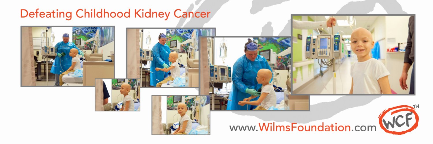 Wilms Cancer Foundation banner