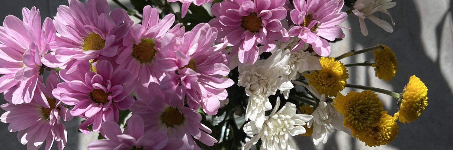 lexiwyman's profile banner image