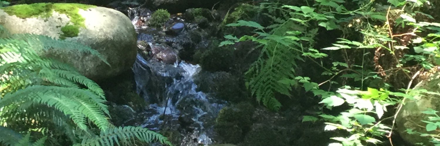 elsadsatar's profile banner image