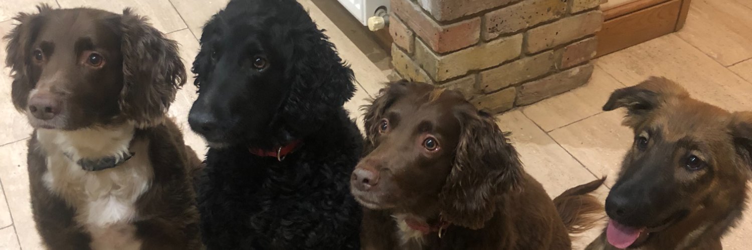 Jenna Verdicchio banner