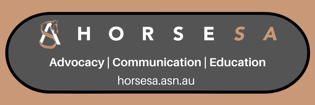 HorsesSA's profile banner image
