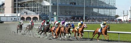 JohnnyBets banner
