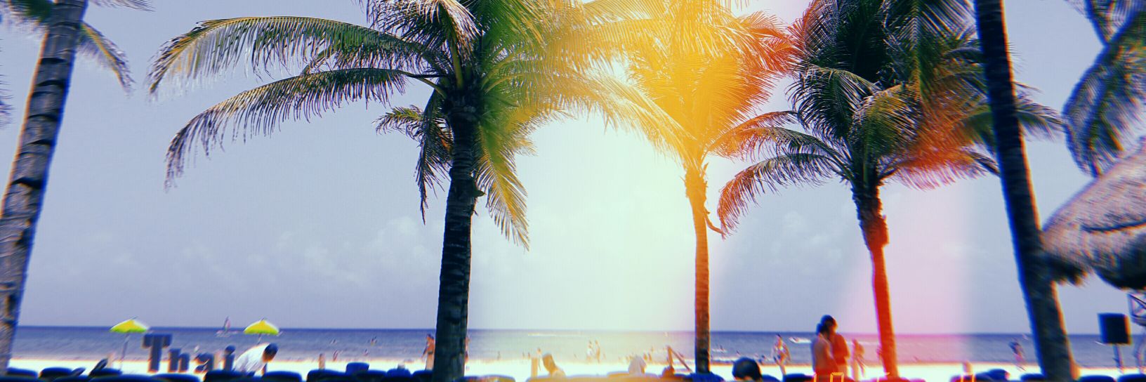 NNachfernandez's profile banner image